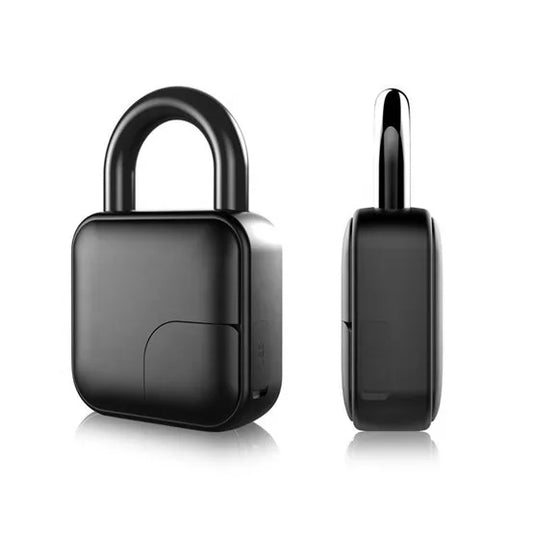 LockPrint Pro