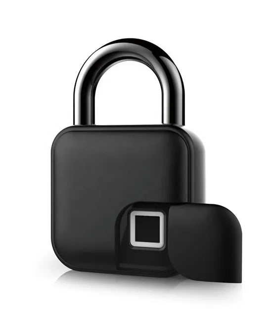 LockPrint Pro